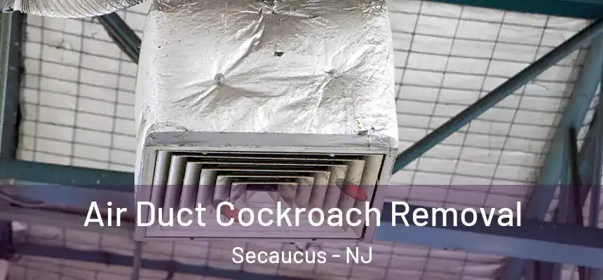  Air Duct Cockroach Removal Secaucus - NJ