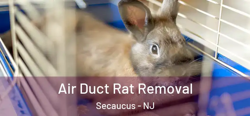  Air Duct Rat Removal Secaucus - NJ