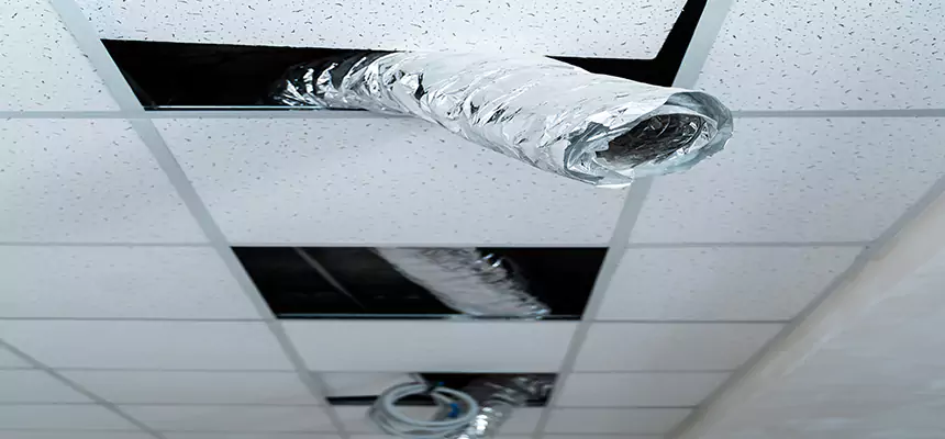 Affordable HVAC Sanitizing After Pest Removal in Secaucus