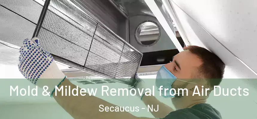  Mold & Mildew Removal from Air Ducts Secaucus - NJ