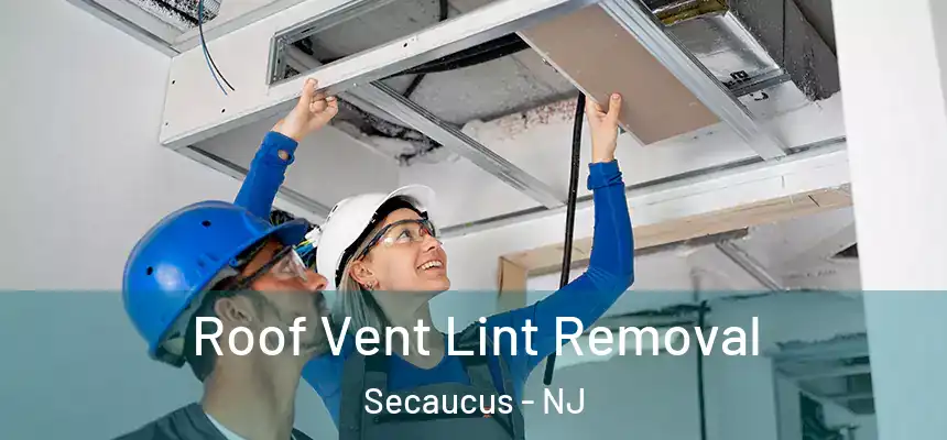 Roof Vent Lint Removal Secaucus - NJ