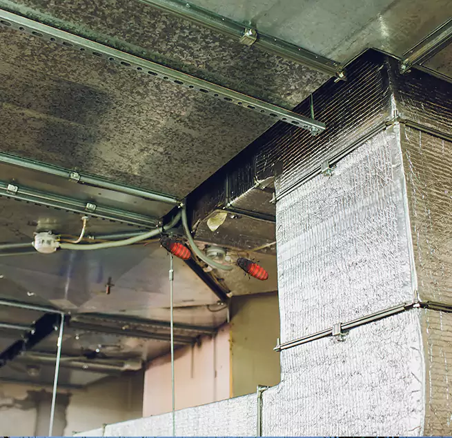 Why Homeowners & Businesses Trust Us in Secaucus, NJ?