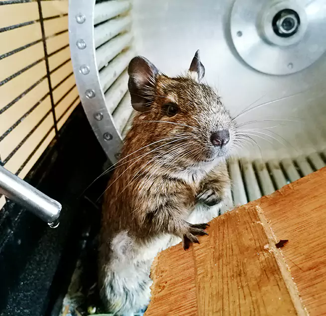 Why Homeowners & Businesses Trust Us Secaucus, NJ